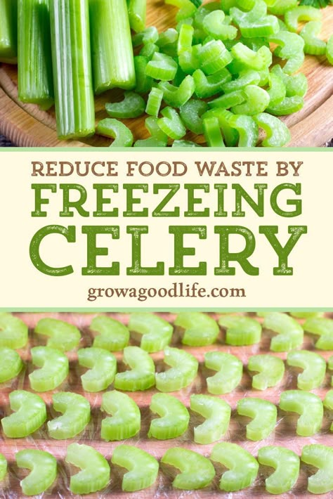 Can You Freeze Fresh Celery, Can You Freeze Raw Celery, Can Celery Be Frozen, Canning Celery Recipes, Freezing Celery How To, Freezing Fresh Vegetables, How To Preserve Celery, Celery Meals, Things To Do With Celery