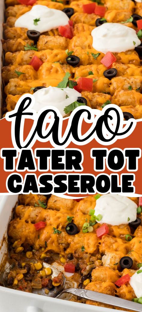 Tater Tot Taco Casserole will be your new favorite way to enjoy taco night! Tater taco casserole has layers of a Mexican mixture of taco meat, crispy tater tots, and lots of cheesy goodness! It's a one pan casserole dinner that the whole family loves. Taco Tots Pioneer Woman, One Pan Casserole, Tater Taco Casserole, Taco Hotdish, Taco Casserole Recipes, Tater Tot Taco Casserole, Tater Tot Taco, Crowd Meals, Taco Tater Tot Casserole