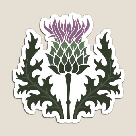 The national flower of Scotland the Scottish purple thistle is crowned by spiky sage green leaves • Millions of unique designs by independent artists. Find your thing. Scotland Images, Thistle Scotland, Scotland Thistle, Scotland National Flower, Thistle Tattoo, Scottish Flowers, Flower Of Scotland, Purple Thistle, Sage Green Leaves