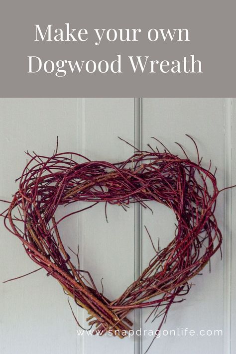 Red Dogwood Wreath, Red Twig Dogwood Crafts, Dogwood Wreath, Red Osier Dogwood, Red Dogwood, Red Twig Dogwood, Heart Shaped Wreath, Dogwood Branches, Indoor Crafts