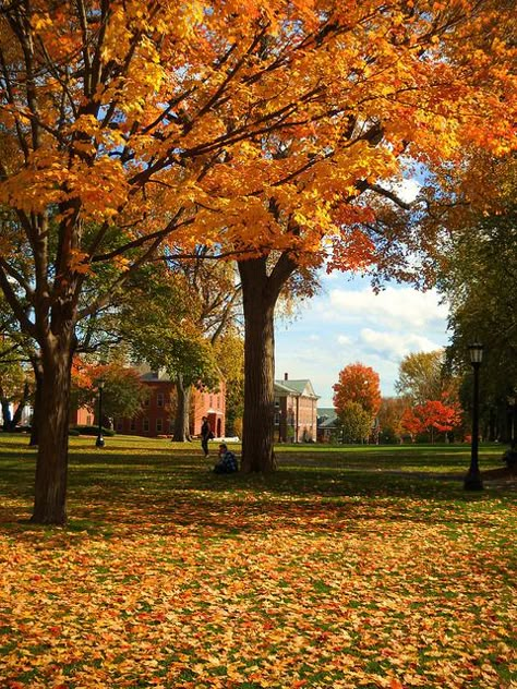 Fall Season Aesthetic, September Season, Tufts University, September Fall, Autumn Scenes, Autumn Scenery, Autumn Beauty, Fall Pictures, Best Seasons