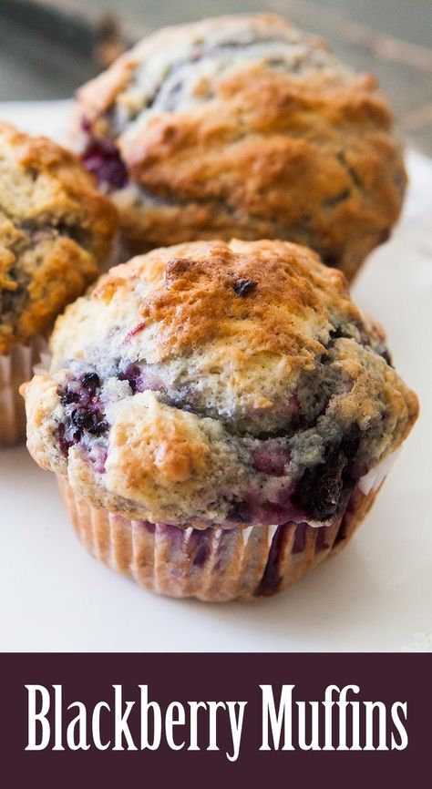 The BEST rich, tender, delicious blackberry muffins! These muffins are a family favorite, filled with juicy berries! #easy On SimplyRecipes.com Muffins Sour Cream, Blackberry Recipes Easy, Blackberry Dessert Recipes, Blackberry Muffin Recipe, Blackberry Muffins, Blackberry Muffin, Blackberry Dessert, Nutella Recipes Easy, Blackberry Recipes