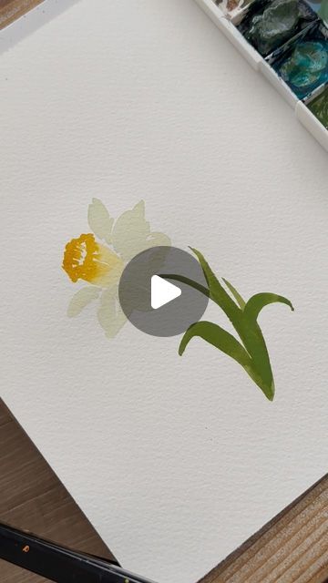 Jenna B Studio on Instagram: "Happy March… and Happy daffodils month 💛🤍 Fresh patches of green grass have already started to pop up around outside… Can you believe spring is nearly here?! 🐣 This makes part 3 our watercolor series, where I release 2 birth flower prints to my Etsy shop every month (one featured as a tutorial)  March = Daffodils  Daffodil meaning: New Beginnings, Happiness, & Joy  Visit Jenna B Studio via Etsy to download this art print  #daffodils #daffodilseason #watercolorpainting #watercolorflowers #art #artistsoninstagram #marchbirthdays #marchbirthflower #birthflowers #birthflower #narcissusflower #springflowers #whitedaffodil" Daffodil Meaning, March Daffodils, March Birth Flowers, I Release, Happy March, Narcissus Flower, March Birthday, Watercolor Flowers Paintings, Birth Flower