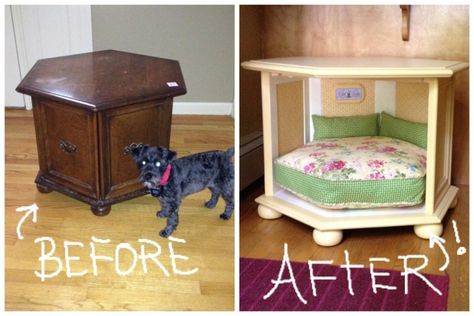 Diy Pet Bed, Smart School House, Smart School, Dog House Diy, Diy Dog Bed, Dog Rooms, School House, Dog Hacks, Dog Furniture