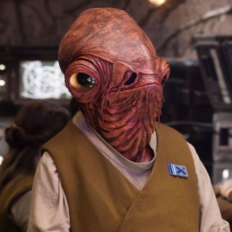 Mon Calamari, Star Wars History, Star Wars Species, Admiral Ackbar, Lucas Arts, Star Wars Canon, Alien Character, Star Wars Vehicles, Star Wars Love