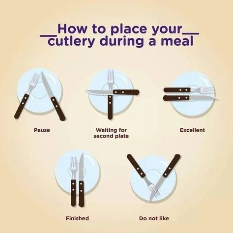 How to place your cutlery during a meal... - Chef Vicky Bisht | Facebook Cutlery Placement, Mixer Recipes, Classy Lifestyle, Dining Etiquette, Dinner Table Setting, Let It Out, Table Set Up, Always Learning, Dinner Table