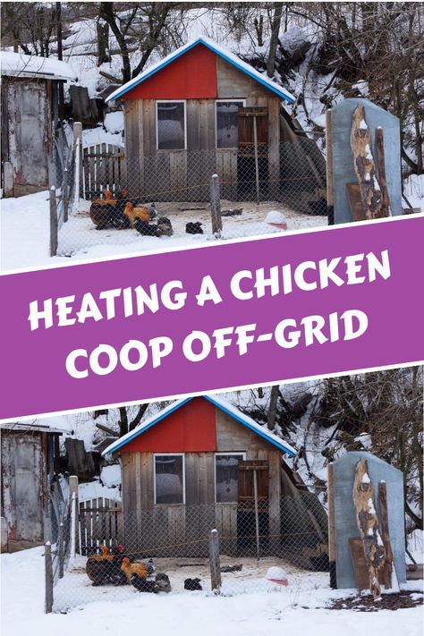 Discover effective ways to keep your chickens warm in the absence of electricity. Implement techniques like deep litter, insulation, and passive heating to ensure a snug and comfortable coop during chilly weather conditions. Adapt these methods for a cozy environment that will help your feathered friends thrive even in cold climates. Chicken Coop Winter Cold Weather, Predictor Proof Chicken Coop, Heat Lamp In Chicken Coop, Insulating A Chicken Coop, How To Winterize Chicken Coop, Chicken Coop Insulation Ideas, Winterizing Chicken Coop, Coop Insulation, Heated Chicken Waterer