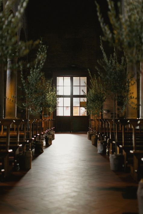 Olive Tree Wedding, Wedding Tree Decorations, Church Wedding Decorations, Hair Wreaths, Wedding Flower Decorations, Olive Trees, Aisle Decor, Fun Wedding Photography, Tree Wedding