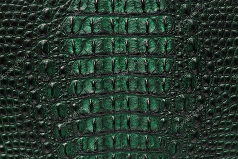 Freshwater Crocodile, Green Crocodile, Crocodile Skin, Clay Design, Texture Background, Crocodile Leather, Leather Texture, Skin Texture, Decorating Blogs