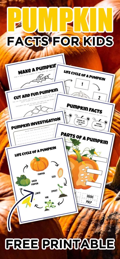 Pumpkin activities are a fun way to keep kids engaged this Fall. Here, you can learn about the pumpkin facts for kids, life cycles and more. November Crafts For Kids, Pumpkin Facts, Pumpkin Investigation, Apple Facts, Parts Of A Pumpkin, Pumpkin Life Cycle, September Crafts, November Crafts, Pumpkin Activities