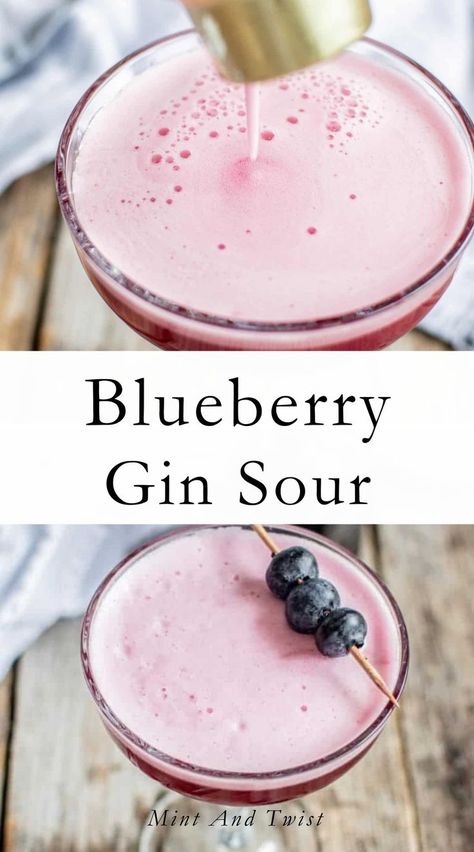 This blueberry gin sour cocktail is flavored with homemade blueberry syrup and fresh lemon. It's tangy and fresh on your taste buds, the perfect fancy cocktail for summer. This blueberry cocktail version brings extra flavor and color to a classic drink. It uses homemade blueberry simple syrup. Gin Sour Recipe, Vodka Sour Recipe, Homemade Blueberry Syrup, Blueberry Simple Syrup, Blueberry Cocktail, Blueberry Gin, Vodka Sour, Vegan Cocktails, Simple Syrup Cocktails