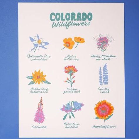 Colorado Wildflowers, Wildflower Drawing, Guerrilla Gardening, Beagle Art, Wildflower Tattoo, Doodle Books, Indian Paintbrush, Hat Ideas, Easter Cards