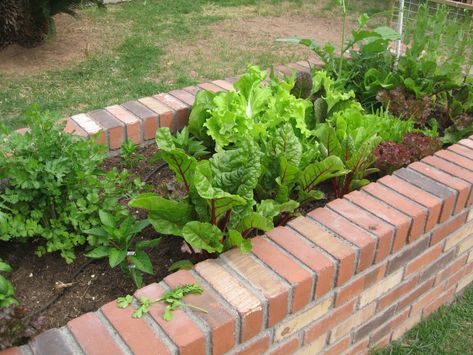 Brick Planters, Brick Raised Garden Beds, Stone Seating, Raised Borders, Brick House Exterior Makeover, Brick Planter, Sliding Wardrobes, Landscaping Layout, Elevated Gardening