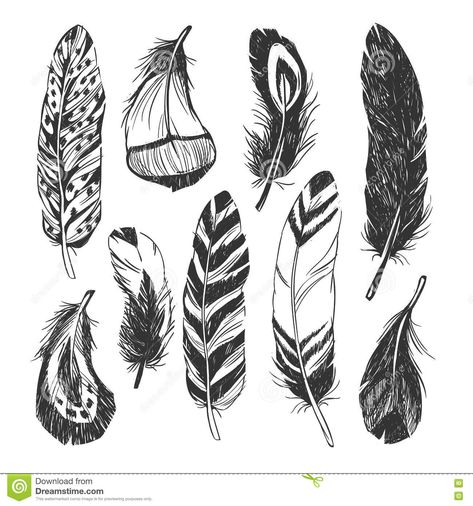 Native American Feathers Drawing, Native American Feather Tattoo, Indian Feather Tattoos, Hipster Illustration, Native American Drawing, Native American Feathers, Native American Tattoo, American Indian Tattoos, Feather Drawing