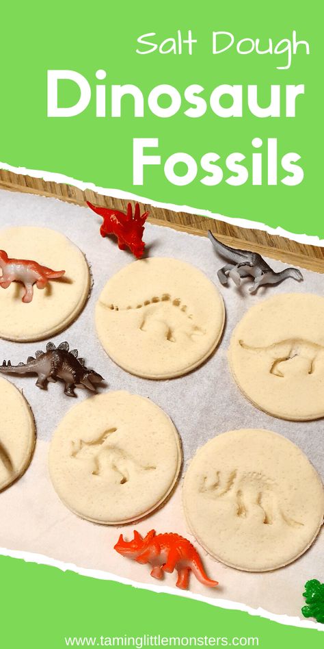 Dino Fossils Preschool, Salt Dough Dinosaur Fossils, Diy Dinosaur Fossils, Dinosaur Stem Activity, Fossil Stem Activities, Preschool Diy Activities, Dinosaur Stem Activities Preschool, Dinosaur Stem Activities, Stem For Toddlers