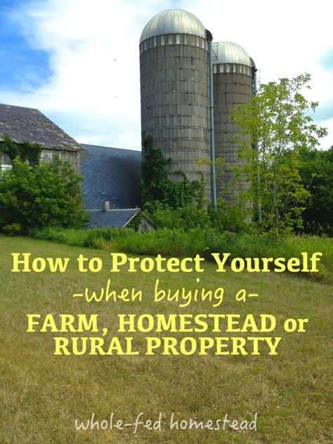 How to Protect Yourself When Buying a Farm or Rural Property (or any property for that matter!) - Whole-Fed Homestead Before Buying A House, Homestead Property, Country Property, Rural Property, Homestead Farm, Future Farms, Homesteading Skills, Buying A House, Urban Homesteading