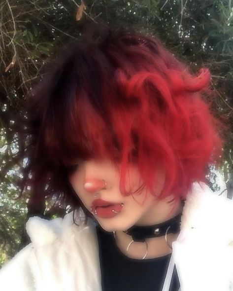 Black And Red Fluffy Hair, Alt Red And Black Hair, Split Dye Red Hair, Pink And Black Split Dye Short Hair, Black And Pink Hair Short, Fluffy Red Hair, Pink Short Hair, Pink And Black Hair, Poofy Hair