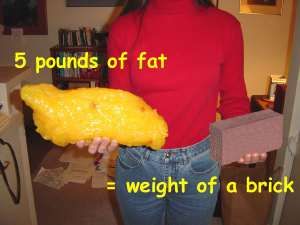 5lb-fat-brick http://luannhoskins.myplexusproducts.com/ Pound Of Fat, Lose 30 Pounds, Lose Pounds, Fat Loss Diet, Calorie Intake, Lose 50 Pounds, Lose 20 Pounds, 5 Pounds, Workout Motivation