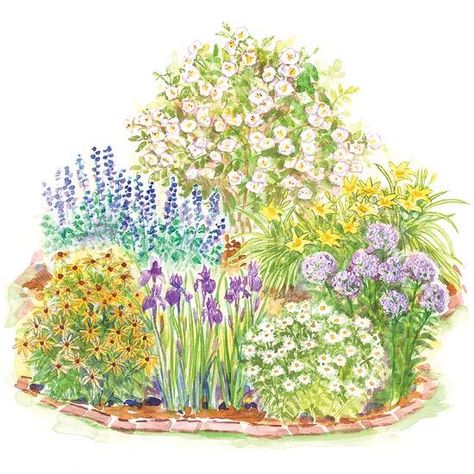 Enjoy beautiful scented roses, cheery daisies, and easy-care daylilies in a 6-by-6-foot spot in your yard with this small garden design: http://www.bhg.com/gardening/plans/by-size/small-garden-plans/?socsrc=bhgpin041914romanticsmallgarden&page=5 Small Garden Plans, Small Water Gardens, Small Flower Gardens, Flower Garden Plans, Corner Garden, Garden Plan, Garden Shrubs, Garden Plans, Romantic Garden