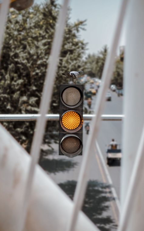 Yellow Traffic Light, Traffic Light Aesthetic, Traffic Light Pictures, Traffic Signals, Pizza Branding, Yellow Cabs, Traffic Signal, Model Railroading, Stop Light