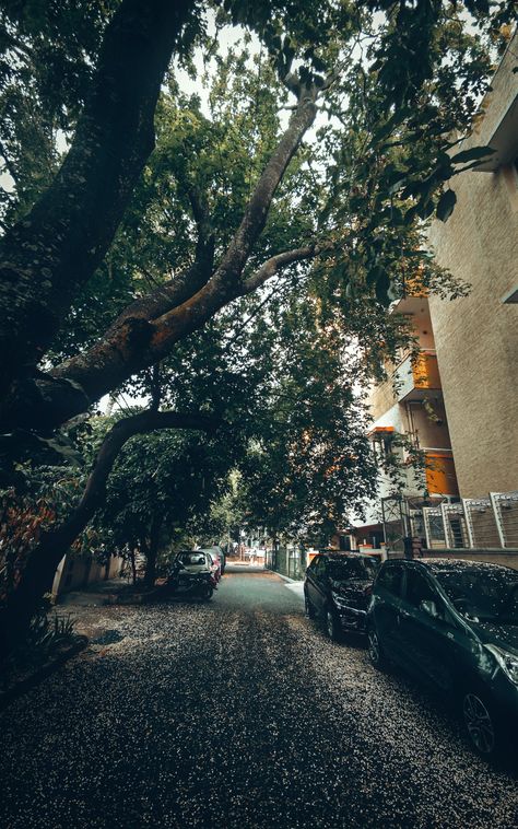 Morning walk on Bangalore Street Bangalore Mg Road, Bengaluru City Photography, Bangalore City Photography, Bangalore Wallpaper, Aesthetic Bangalore, Bangalore Street, Bangalore Aesthetic, Bangalore Photography, Bengaluru City