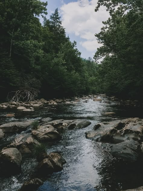 Smokey Mountains Photography, Gatlinburg Tennessee Photography, Smokey Mountains Tennessee Aesthetic, Tennessee Mountains Aesthetic, Smoky Mountain Aesthetic, Smokey Mountains Tennessee Pictures, Smoky Mountains Aesthetic, East Tennessee Aesthetic, Tennessee Aesthetic Wallpaper