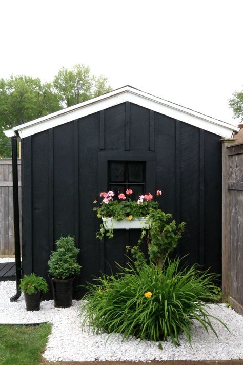 Come see this old tired shed transformed into a chic black look for less than $200 with paint, plants, and landscaping rocks. #shed #gardenshed #outdoorliving #background #nestingwithgrace #diyprojects Black House Landscaping, Ranch Patio, Groom Room, Landscaping Rocks, Black Shed, Backyard Goals, Cabin Office, Outdoor Improvements, Shed Makeover