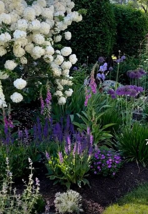 Cottage Garden Plan, Backyard Garden Landscape, Front Yard Garden Design, Lavender Garden, Woodland Garden, Backyard Garden Design, Front Yard Garden, White Gardens, Gorgeous Gardens