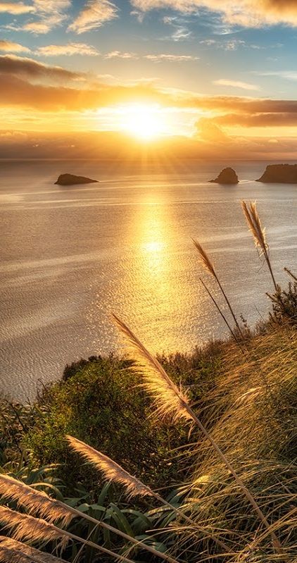 Another from last weekend's Coromandel By Winter project, this view out to the Pacific from above Hahei, New Zealand Hahei New Zealand, Winter Project, Beautiful Travel Destinations, New Caledonia, South Island, Small Island, Rolling Hills, Pacific Ocean, The Pacific