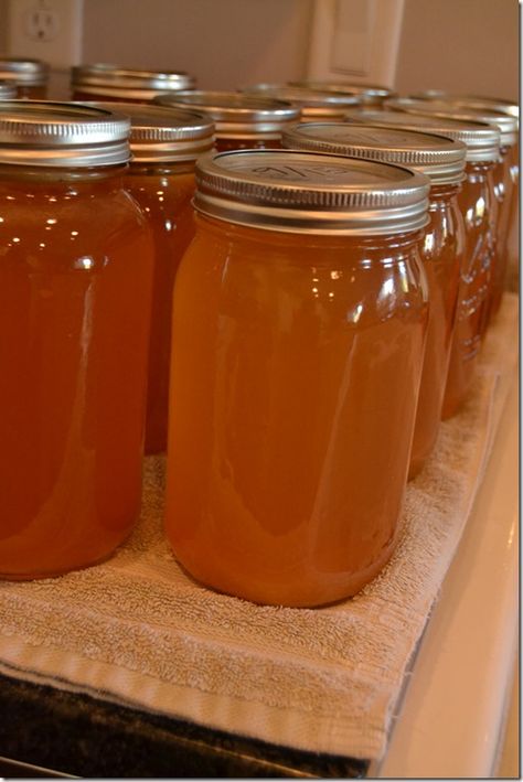 Homemade Apple Juice, Apple Juice Recipe, Homemade Chicken Broth, Canning Apples, Veggie Broth, Stock Recipes, Canned Apples, Electric Juicer, Juice Fast