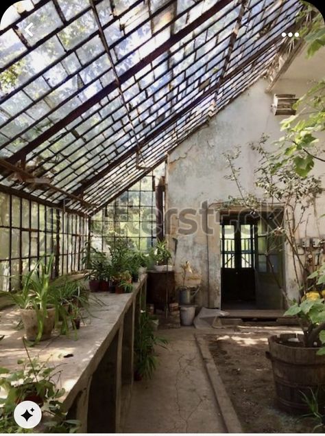 Greenhouse Inside, Old Greenhouse, Conservatory Greenhouse, Greenhouse Shed, Home Greenhouse, Backyard Greenhouse, Garden Wallpaper, Greenhouse Plans, Garden Greenhouse