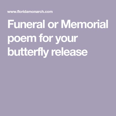 Butterfly Memorial Quotes, Butterfly Celebration Of Life, Butterfly Release Memorial, Butterfly Poems, Butterfly Release, Memorial Poems, Happy Quotes Positive, Say A Prayer, Butterfly Pictures