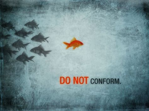 Do not conform to the pattern of this world, but be transformed by the renewing of your mind. Then you will be able to test and approve what God’s will is— His good, pleasing and perfect will.  --Romans 12:2 Do Not Conform, Romans 12, Follow Jesus, Let God, Goldfish, Word Of God, Christian Quotes, Inspirational Words, Bible Quotes