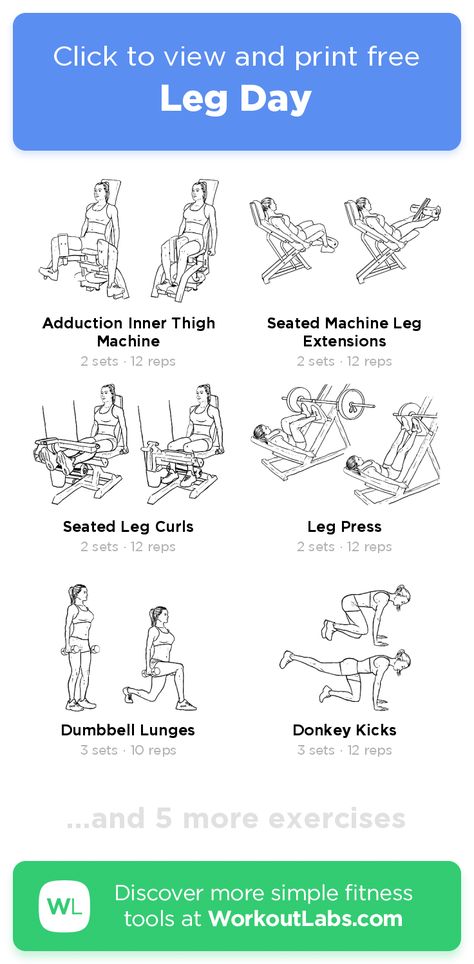 Leg Day – click to view and print this illustrated exercise plan created with #WorkoutLabsFit Seated Leg Curl Machine Workout, Leg Day With Machines, Cheer Training, 2023 Workout, Leg Curl Machine, Seated Leg Curl, Leg Day Workout, Workout Labs, Calf Exercises