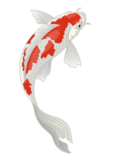 Ikan Koi Art, Koi Fish Cartoon, Koi Sketch, Koi Fish Vector, Koi Illustration, Japan Koi Fish, Koi Fish Illustration, Koi Fish Colors, Karp Koi