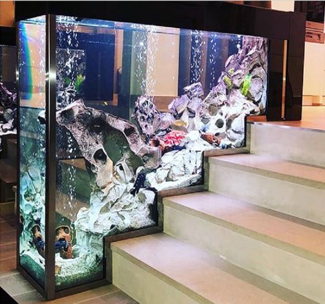 Wall Aquarium Design, Custom Fish Tanks, Fish Tank Wall, Under Staircase, Aquarium Cabinet, Custom Aquarium, Wall Aquarium, Cool Fish Tanks, Black Bedroom Design