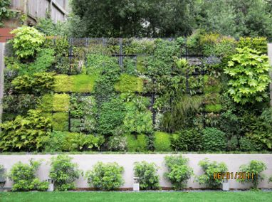 living wall Vertical Garden Wall Succulent, Wallygrow Plant Wall, Wally Eco Wall Planter, Vertical Garden Construction Details, Wall Climbing Plants, Vertical Garden Wall Orchid, Vertical Vegetable Gardens, Vertical Vegetable Garden, Vertical Garden Wall