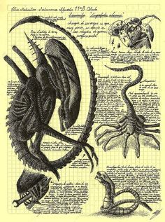 Run alien Giger Alien, Giger Art, Alien Artwork, Foto Langka, Arte Alien, Aliens Movie, Alien Vs Predator, Alien Vs, Alien Creatures