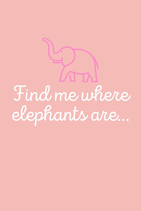 Elephant Love Quotes, Elephant Captions Instagram, Elephant Quotes Inspirational, Quotes About Elephants, Elephant Sayings, Moana Poster, Head Up Quotes, Bujo 2025, Elephant Quotes