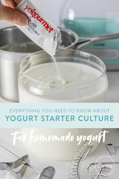 Everything you need to know about yogurt starter culture - Luvele AU Luvele Recipes, Freezing Yogurt, Bacteria Culture, Yogurt Starter Culture, Yogurt Starter, Goat Milk Yogurt, Protein Structure, Homemade Yogurt Recipes, Make Your Own Yogurt