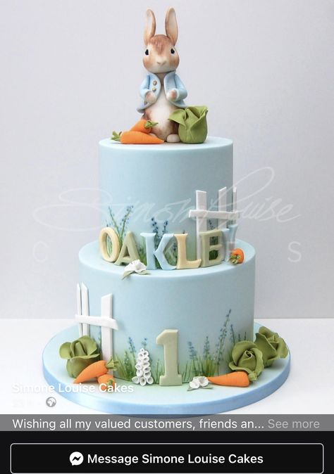 Peter Rabbit Cakes, Peter Rabbit Cake Ideas, Peter Rabbit Christening Cake, Peter Rabbit Birthday Cake, Bug Birthday Cakes, Bunny Cakes, Peter Rabbit Cake, Peter Rabbit Birthday, Rabbit Birthday