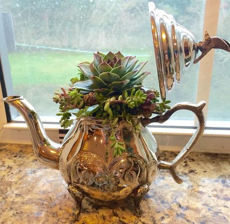 Silver Teapot Repurpose, Teapot Garden, Coffee Table Ornaments, Teapot Crafts, Chair Planter, Table Ornaments, Teacup Gardens, House Dressing, Silver Teapot