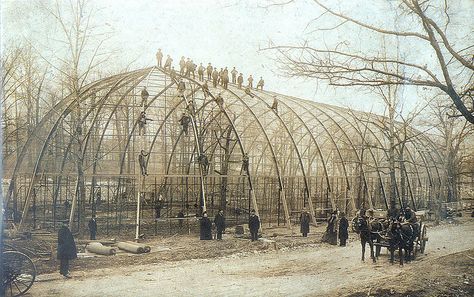 Construction workers pose for a photograph during construction of the giant bird cage built by the Smithsonian Institution for the 1904 World's Fair. The photograph is a family heirloom belonging to Tracy Ronvik of St. Louis, whose great-grandfather, Gustav Knudsen Ronvik, is one of the workers perched atop the structure. Saint Louis Zoo. Big Bird Cage, Flight Cage, St Louis Zoo, Louisiana Purchase, Construction Workers, My Kind Of Town, Smithsonian Institution, Forest Park, St Louis Missouri