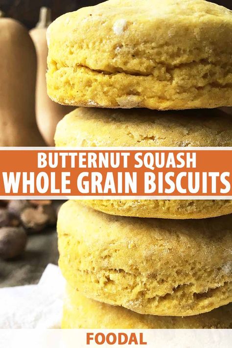 Butternut Squash Whole, Squash Biscuits, Squash Flour, Spiced Butternut Squash, Butternut Squash Puree, Acorn Squash Recipes, Breakfast Bread Recipes, Whole Grain Flour, Fall Months