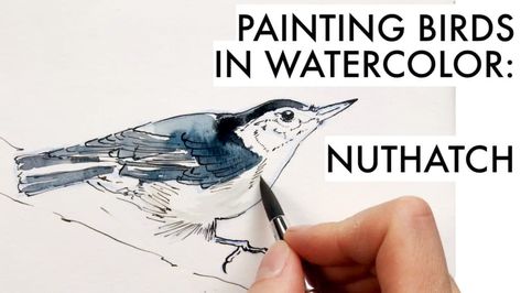 Nuthatch Bird, Basic Sketching, Botanical Sketchbook, Importance Of Art, Nature Journaling, Realistic Sketch, Walnut Ink, Landscape Painting Tutorial, Sketchbook Tour