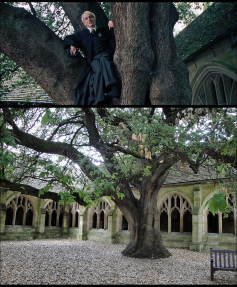 Despite its name, New College was founded in 1379 and is one of Oxford’s oldest colleges. Memorable GoF scenes were shot in the yard surrounded by 4 New College Cloisters passageways. The great Holm Oak in the northwest corner of this quadrangle is Potterlicious, as explained in Site #32 of Harry Potter Places Book Two.  http://www.harrypotterplaces.com/owls-oxford-wizarding-locations/  http://en.wikipedia.org/wiki/New_College,_Oxford  #HarryPotter #Potterheads #Hogwarts Hogwarts Yard, Hogwarts Notion, Courtyard Aesthetic, Hp Visuals, Shifting Photos, Aesthetic Hogwarts, Holm Oak, The Philosophers Stone, Harry Potter Places