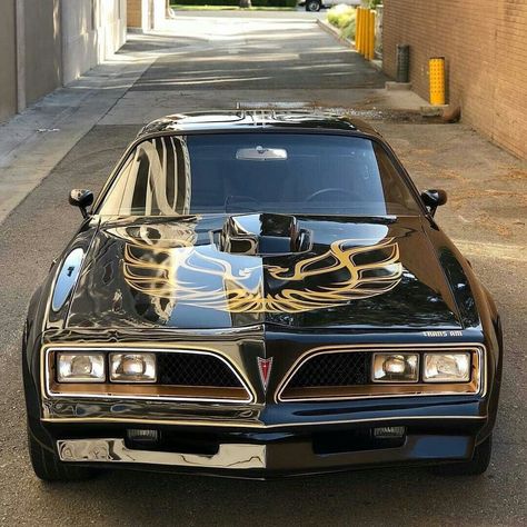 Pontiac Trans Am Firebird, Pontiac Muscle Cars, 1977 Pontiac Firebird Trans Am, 1978 Firebird, 1978 Trans Am, Firebird Pontiac, 1978 Pontiac Firebird, Trans Am Firebird, Bandit Trans Am