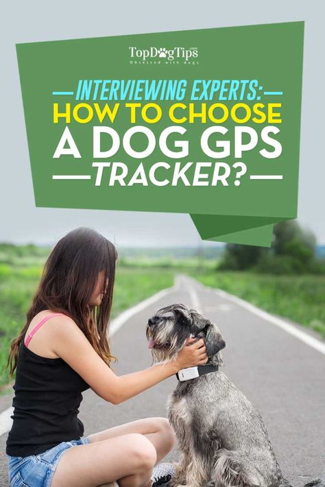 How to Choose the Best Dog GPS Tracker Dog Tracker, Red Dog Collar, Gps Tracking System, Pet Tracker, Hiking Dogs, Dog Safety, Dog Hacks, Dog Training Collar, Gps Tracking