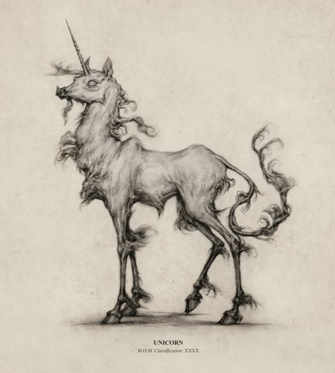 A recent Fantastic Beast Unicorn design. :)  Instagram: @audreybenjaminsenart Medieval Unicorn, Harry Potter Illustrations, Unicorn Drawing, Illustrated Art, Magical Creature, Unicorn Art, Creature Drawings, Mythical Creatures Art, Mythological Creatures