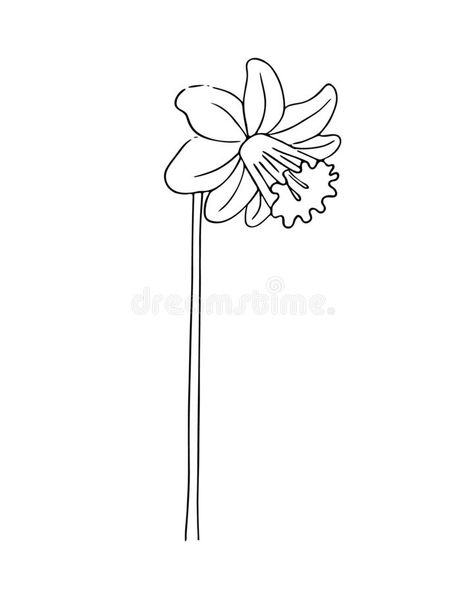 Line Floral Drawing, Flower Narcissus, Doodle Style, Floral Drawing, Hand Drawn Flowers, Lotus Flower Tattoo, Easy Drawings, Flower Tattoo, White Background